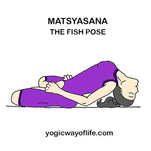 Matsyasana Fish Pose Asana