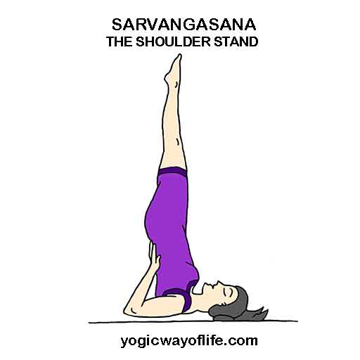 Sarvangasana