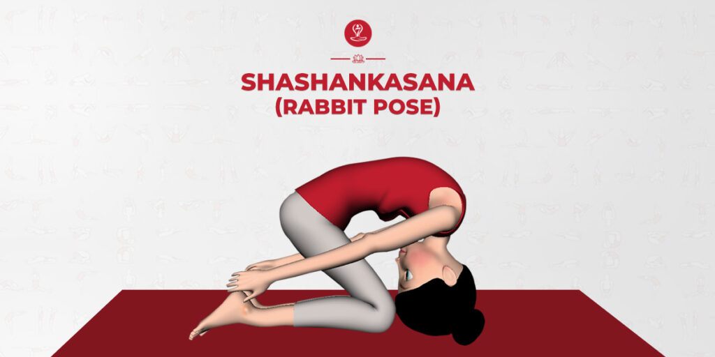 Shashangasana