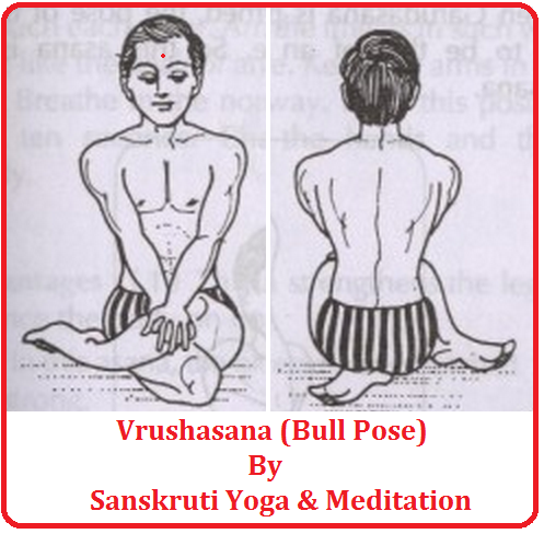 Vrishasana Bull pose