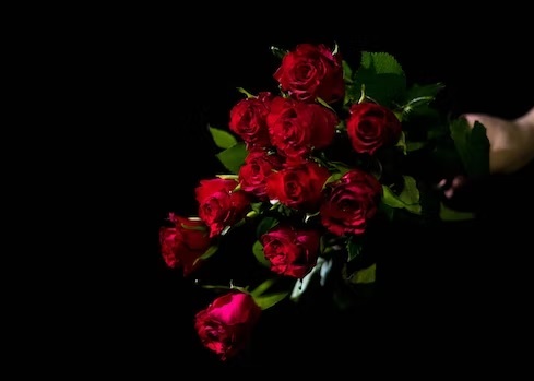 Rose Day on 7 February