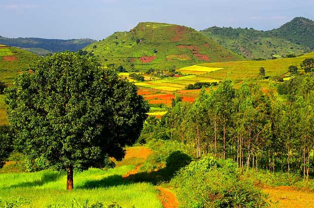 Araku Valley Tourist Places in Andhra Pradesh