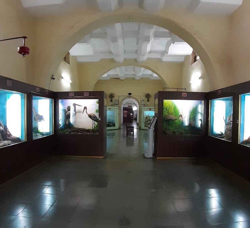 Nagpur Central Museum Tourist Places in Nagpur