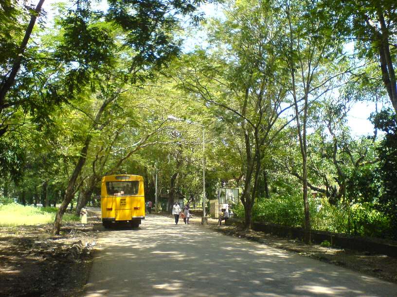 Sanjay Gandhi National Park Tourist Places in Mumbai