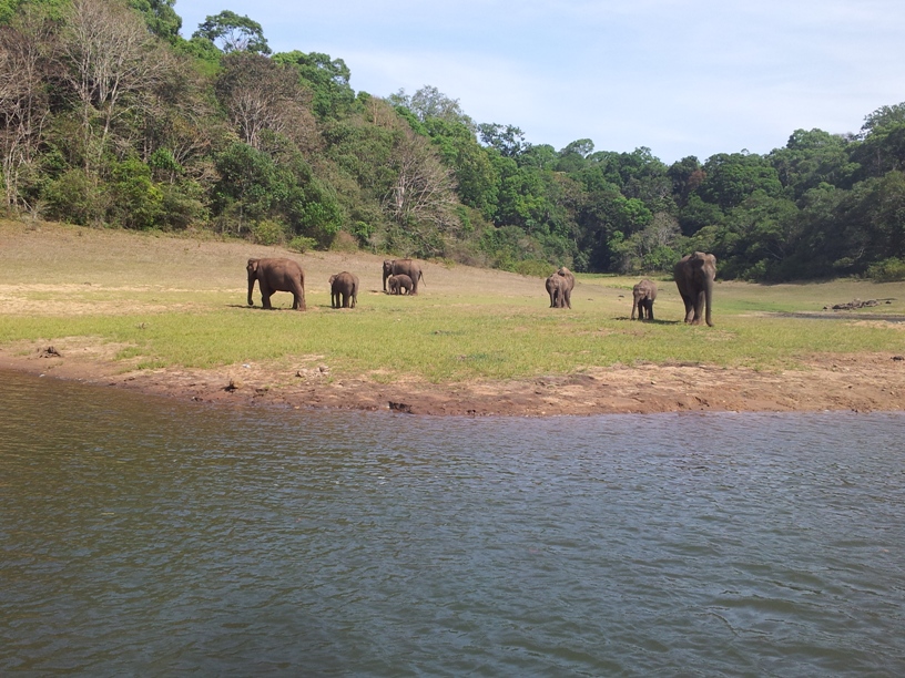 Thekkady Tourist Places in Kerala