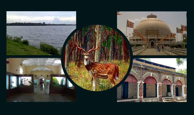 Best Tourist Places in Nagpur in 2023