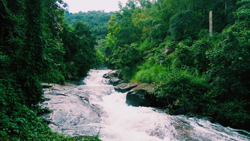 Wayanad Tourist Places in Kerala