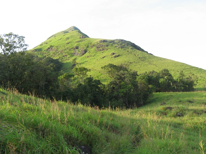 Chembra Peak Tourist Places in Wayanad