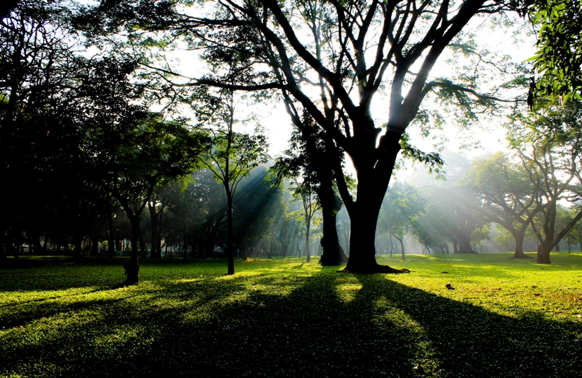 Cubbon Park Tourist Places in Bangalore