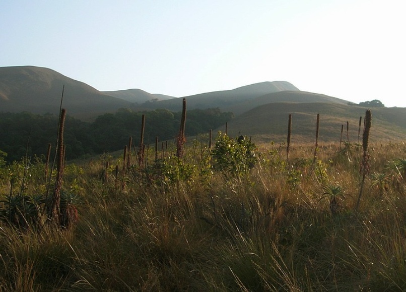 Grass Hills Tourist Places in Valparai