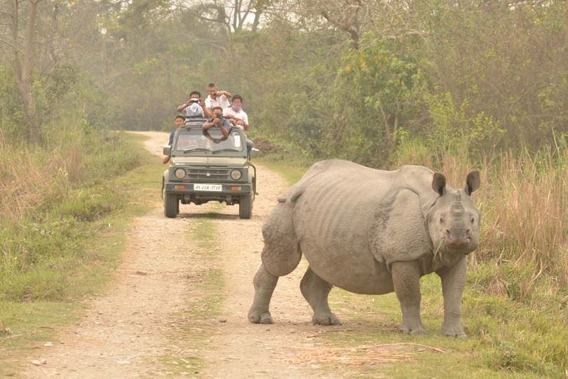 Kaziranga National Park Tourist Places in Assam