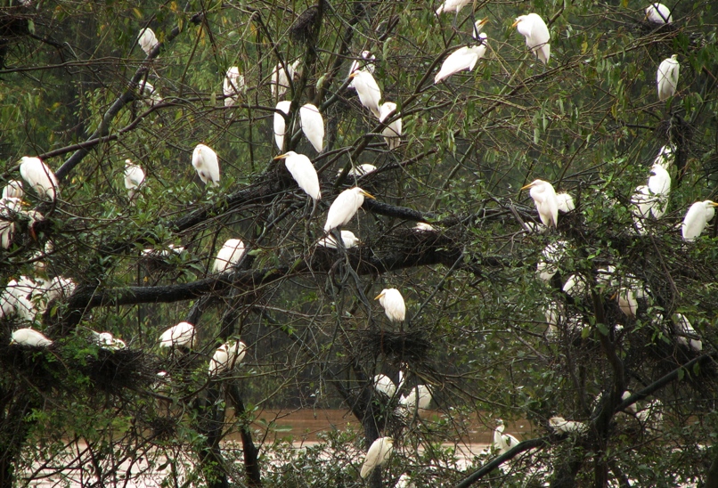 Mandagadde Bird Sanctuary Tourist Places in Shimoga