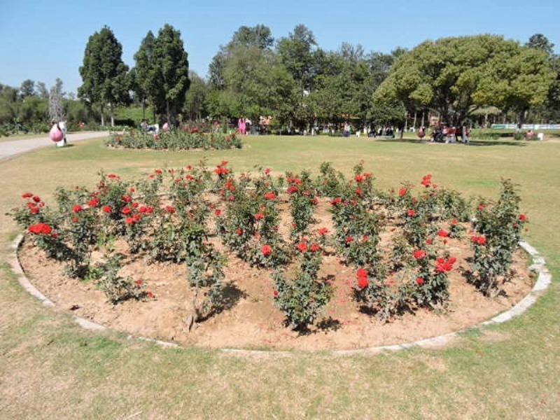 Rose Garden Tourist Places in Chandigarh