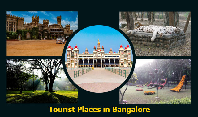 Best Tourist Places in Bangalore in 2023 with how to reach and when to visit