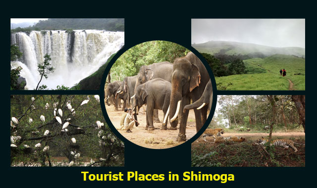 Best Tourist Places in Shimoga in 2023