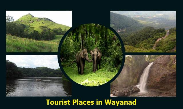 Best Tourist Places in Wayanad in 2023: Exploring Nature's Delight