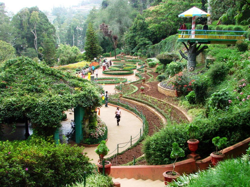 Botanical Gardens Tourist Places in Ooty