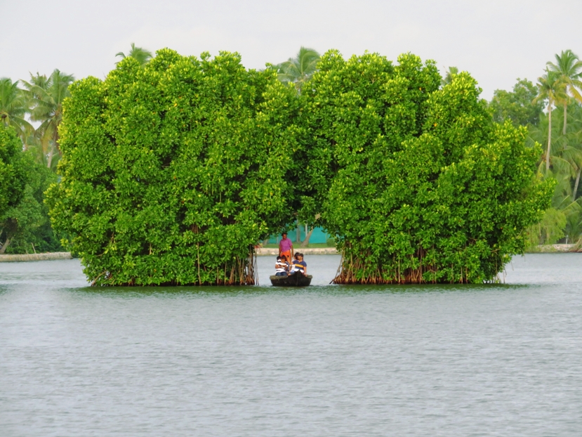 Munroe Island Tourist Places in Kollam