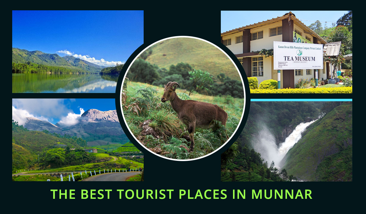 The Best Tourist Places in Munnar in 2023